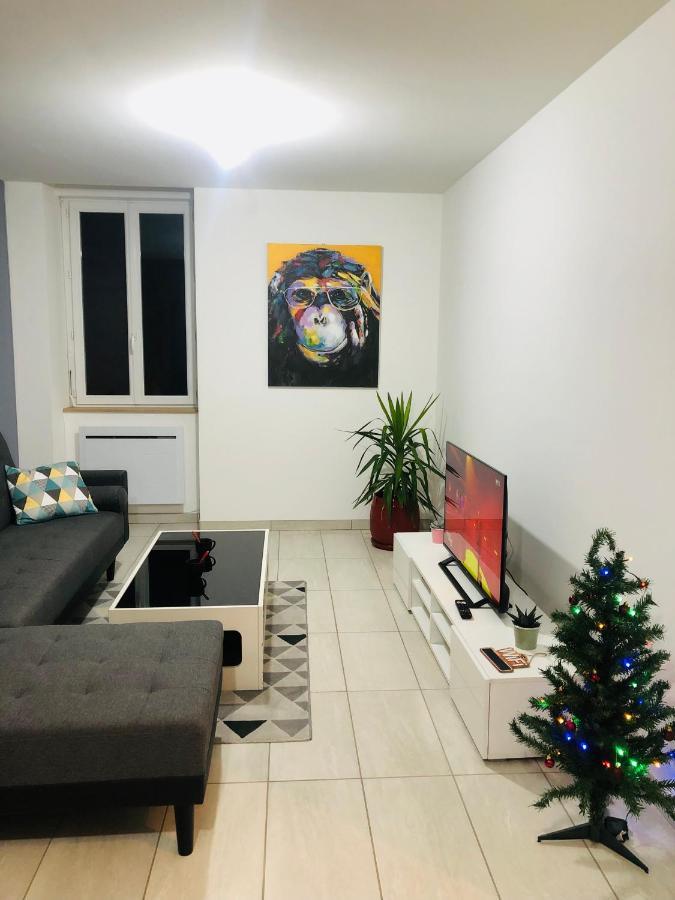 Superbe Appartement Roanne Exterior photo